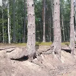 Séjour chez l'habitant Bakusiowy Zakatek Lipowo Kurkowskie