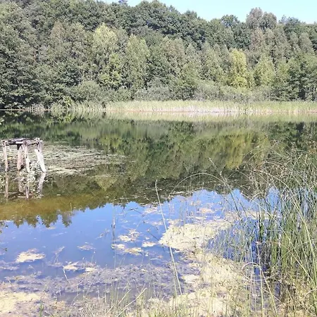 Bakusiowy Zakatek