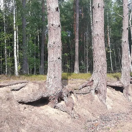 Ubytování v soukromí Bakusiowy Zakatek Lipowo Kurkowskie